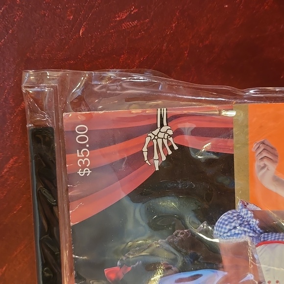 Dorothy Costume Adult - Size L 10-12 - NIP - Picture 3 of 5